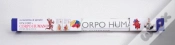 Capa do artigo Descobre o Corpo Humano