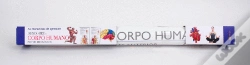 Capa do artigo Descobre o Corpo Humano