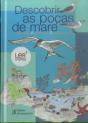 Descobrir as Poças de Maré - Preview