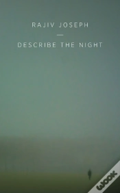 Capa do artigo Describe The Night