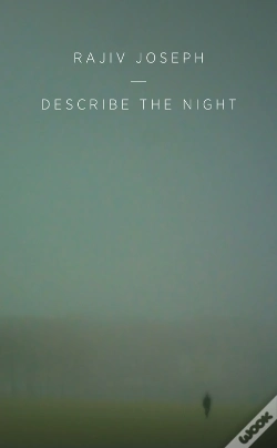 Capa do artigo Describe The Night