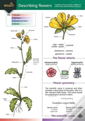 Capa do artigo Describing Flowers