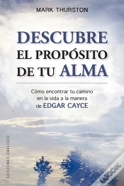 Capa do artigo Descubre El Propósito De Tu Alma