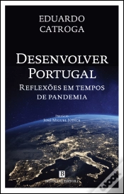 Capa do artigo Desenvolver Portugal