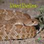 Desert Dwellers - Preview