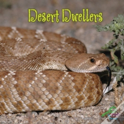 Capa do artigo Desert Dwellers