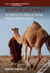Capa do artigo Desert Entanglements