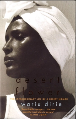 Capa do artigo Desert Flower