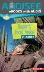 Desert Food Webs In Action - Preview