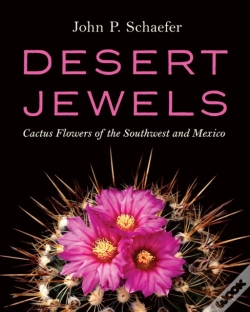 Capa do artigo Desert Jewels