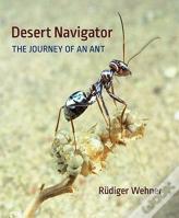 Desert Navigator