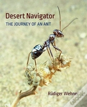 Capa do artigo Desert Navigator