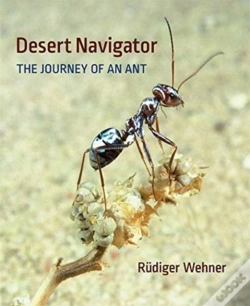 Capa do artigo Desert Navigator