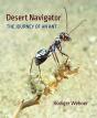Desert Navigator - Preview