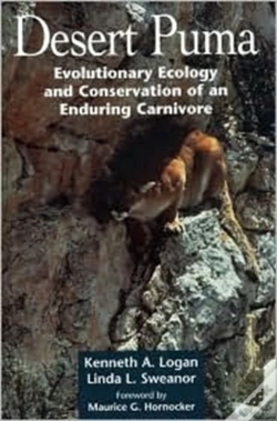 Capa do artigo Desert Puma