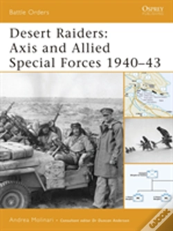 Capa do artigo Desert Raiders