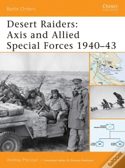 Capa do artigo Desert Raiders