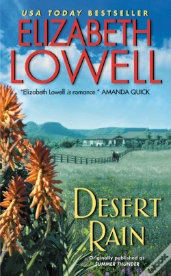 Capa do artigo Desert Rain