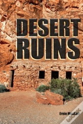 Desert Ruins