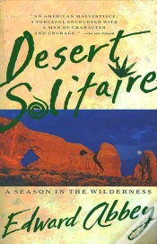 Capa do artigo Desert Solitaire