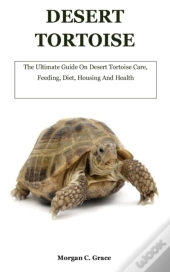 Desert Tortoise