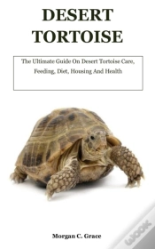 Capa do artigo Desert Tortoise