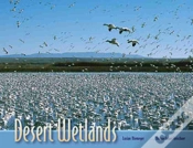 Capa do artigo Desert Wetlands