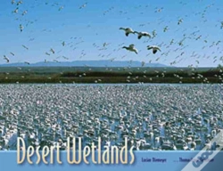 Capa do artigo Desert Wetlands