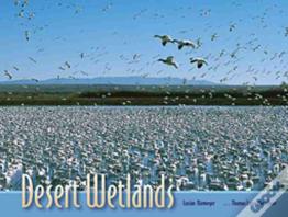 Desert Wetlands