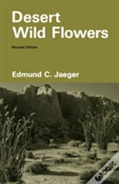 Desert Wild Flowers
