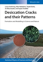 Capa do artigo Desiccation Cracks And Their Patterns