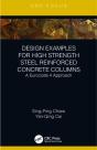 Design Examples For High Strength Steel Reinforced Concrete Columns - Preview