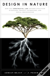Capa do artigo Design In Nature