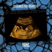Capa do artigo Designed for Disaster - CD