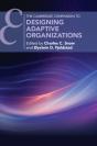 Designing Adaptive Organizations - Preview