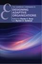 Designing Adaptive Organizations - Preview