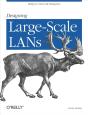 Designing Large Scale Lans - Preview