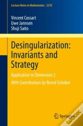 Desingularization: Invariants And Strategy