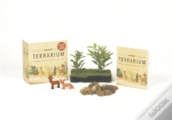 Capa do artigo Desktop Terrarium