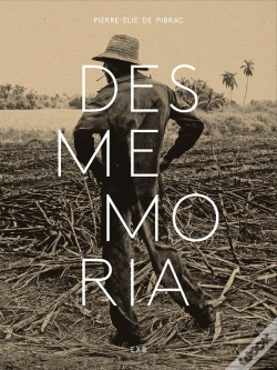 Capa do artigo Desmemoria