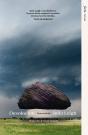 Desolacion - Preview