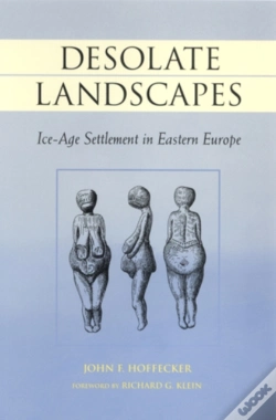 Capa do artigo Desolate Landscapes