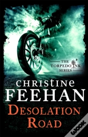 Capa do artigo Desolation Road