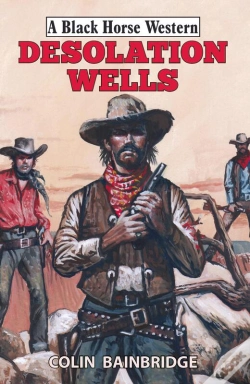 Capa do artigo Desolation Wells