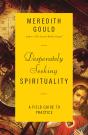 Desperately Seeking Spirituality - Preview