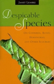 Capa do artigo Despicable Species