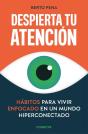 Despierta Tu Atención - Preview