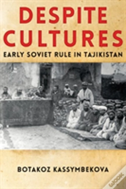 Capa do artigo Despite Cultures