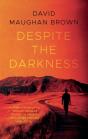 Despite The Darkness - Preview