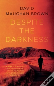 Capa do artigo Despite The Darkness